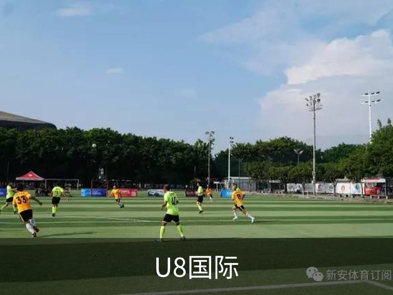 关于U8国际